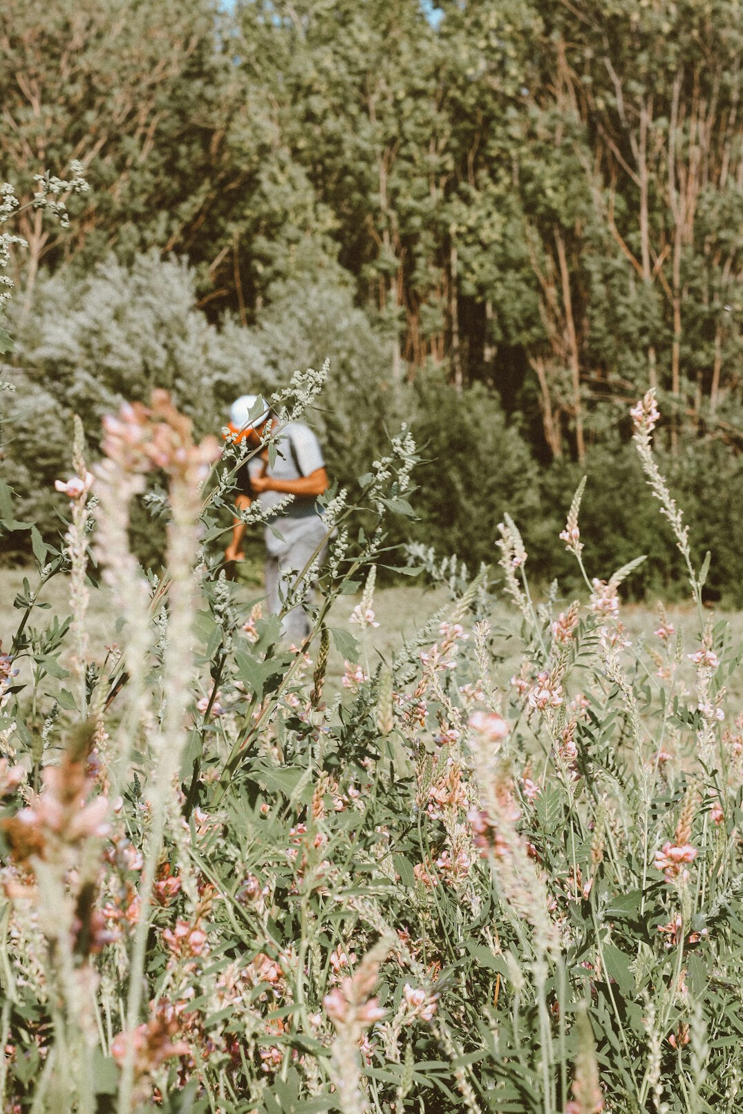 environmental scientist in field