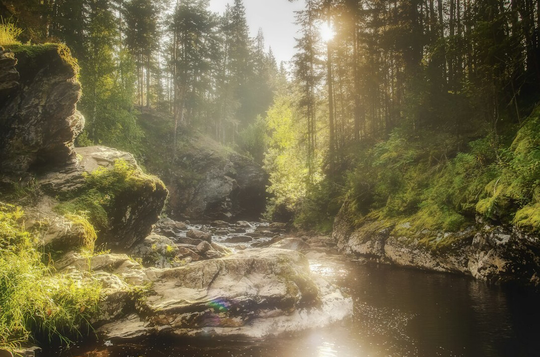 sustainable practices in nature
