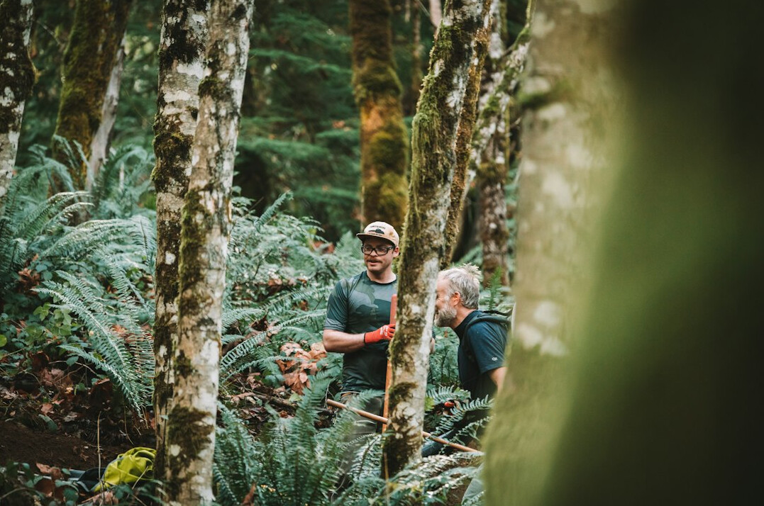 team planting trees in forest