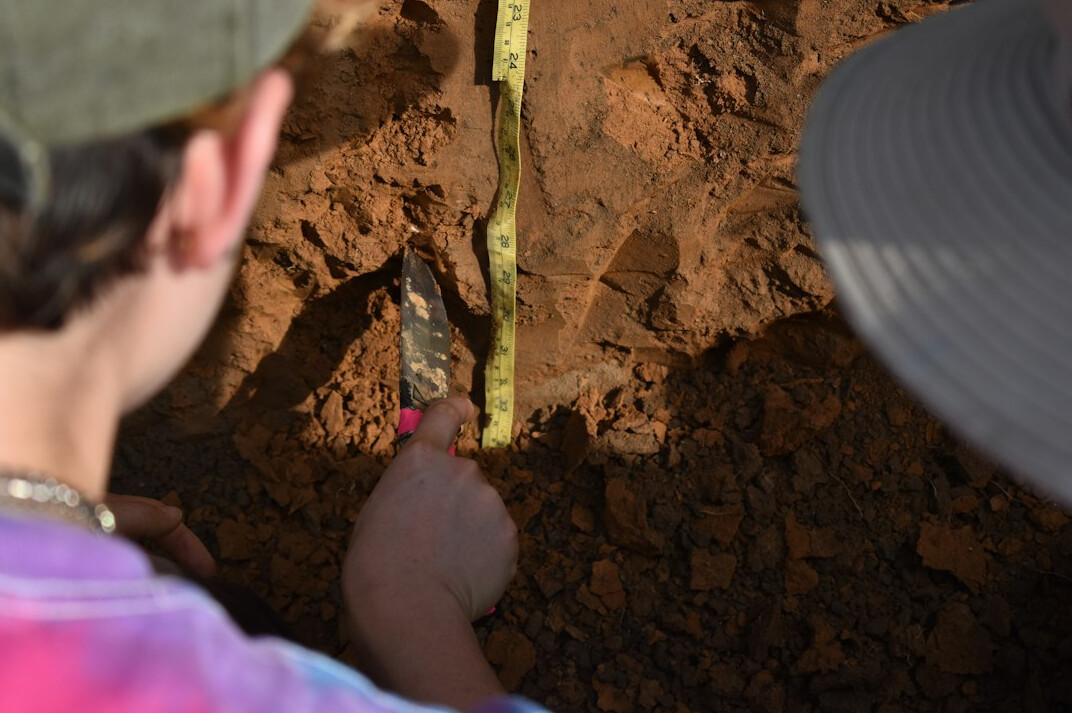 scientist examining soil samples